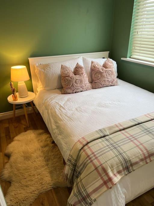 Cosy 2 Double Bed Apartment Swords Luaran gambar